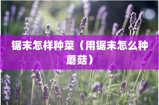 锯末怎样种菜（用锯末怎么种蘑菇）