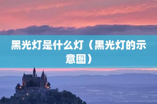 黑光灯是什么灯（黑光灯的示意图）