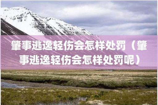 肇事逃逸轻伤会怎样处罚(肇事逃逸轻伤会怎样处罚呢) 肇事逃逸轻伤会怎样处罚(肇事逃逸轻伤会怎样处罚呢)
