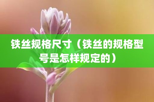 铁丝规格尺寸（铁丝的规格型号是怎样规定的）