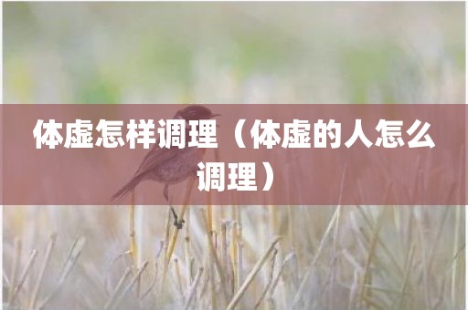 体虚怎样调理（体虚的人怎么调理）
