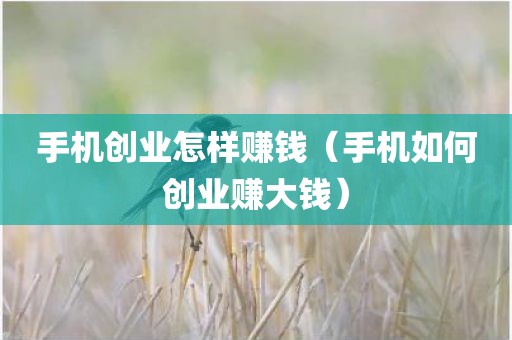 手机创业怎样赚钱（手机如何创业赚大钱）