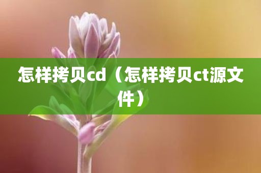 怎样拷贝cd（怎样拷贝ct源文件）