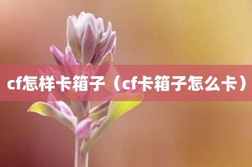 cf怎样卡箱子（cf卡箱子怎么卡）