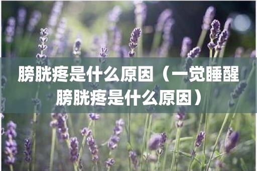 膀胱疼是什么原因（一觉睡醒膀胱疼是什么原因）