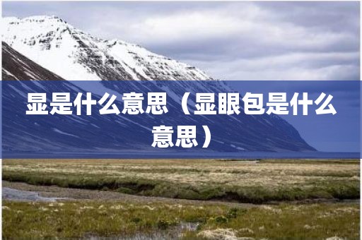 显是什么意思（显眼包是什么意思）