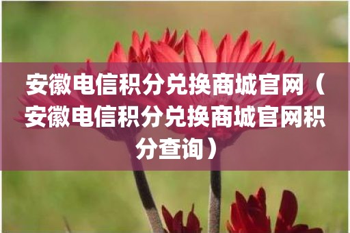 安徽电信积分兑换商城官网（安徽电信积分兑换商城官网积分查询）