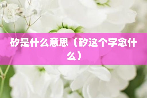 矽是什么意思（矽这个字念什么）