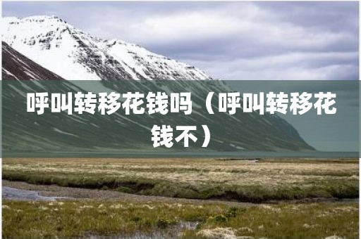 呼叫转移花钱吗（呼叫转移花钱不）