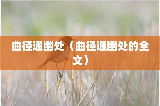 曲径通幽处（曲径通幽处的全文）