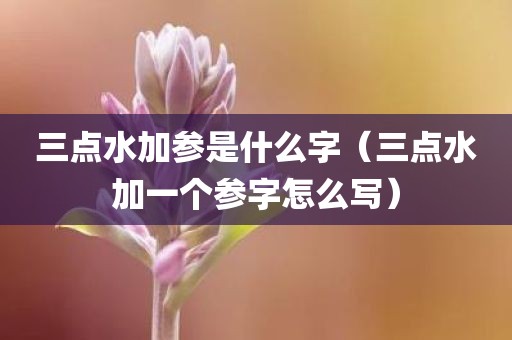 三点水加参是什么字(三点水加一个参字怎么写) 三点水加参是什么字(三点水加一个参字怎么写)