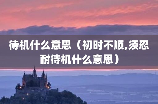 待机什么意思（初时不顺,须忍耐待机什么意思）