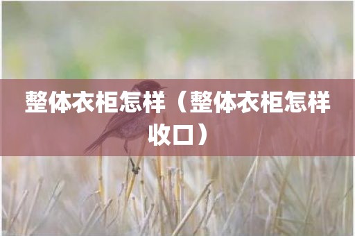 整体衣柜怎样（整体衣柜怎样收口）