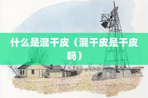 什么是混干皮（混干皮是干皮吗）
