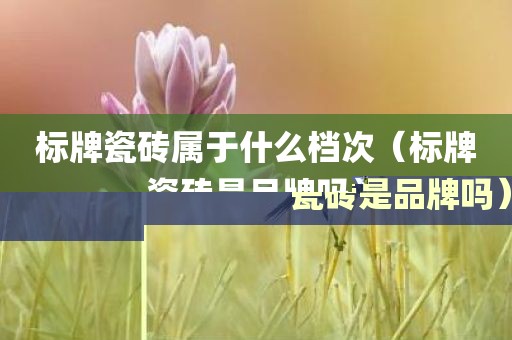 标牌瓷砖属于什么档次（标牌瓷砖是品牌吗）