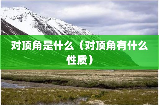 对顶角是什么（对顶角有什么性质）