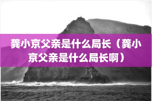 龚小京父亲是什么局长(龚小京父亲是什么局长啊)