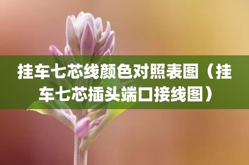 挂车七芯线颜色对照表图（挂车七芯插头端口接线图）