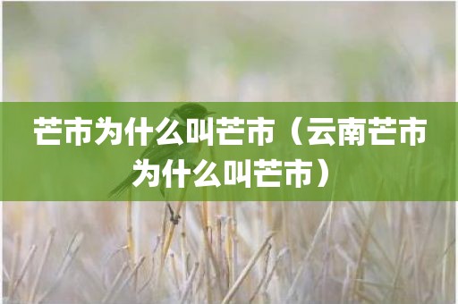 芒市为什么叫芒市（云南芒市为什么叫芒市）