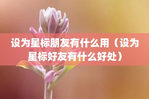 设为星标朋友有什么用（设为星标好友有什么好处）
