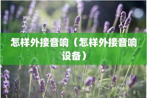 怎样外接音响（怎样外接音响设备）