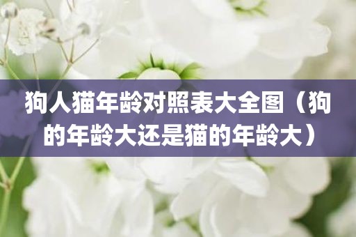 狗人猫年龄对照表大全图（狗的年龄大还是猫的年龄大）
