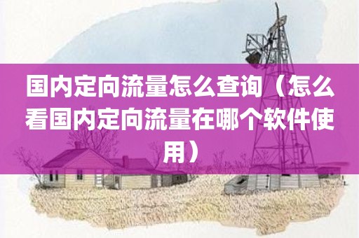 国内定向流量怎么查询（怎么看国内定向流量在哪个软件使用）