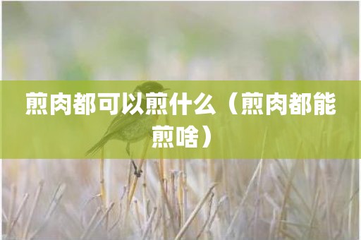 煎肉都可以煎什么（煎肉都能煎啥）