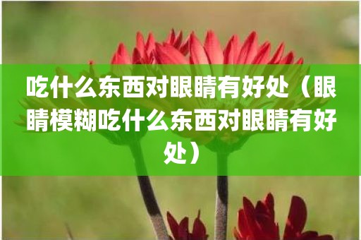 吃什么东西对眼睛有好处（眼睛模糊吃什么东西对眼睛有好处）