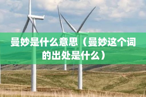 曼妙是什么意思（曼妙这个词的出处是什么）