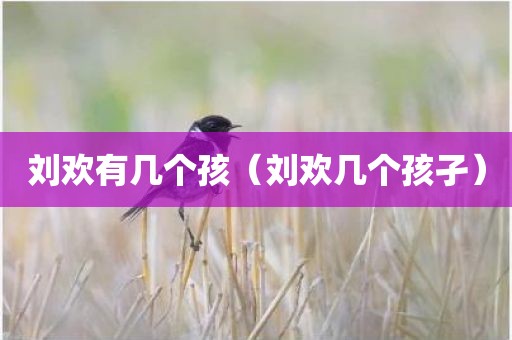 刘欢有几个孩（刘欢几个孩孑）