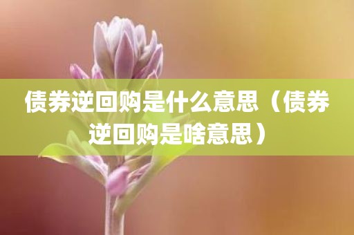 债券逆回购是什么意思（债券逆回购是啥意思）