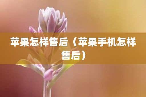 苹果怎样售后（苹果手机怎样售后）