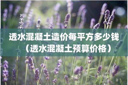 透水混凝土造价每平方多少钱(透水混凝土预算价格) 透水混凝土造价每平方多少钱(透水混凝土预算价格)