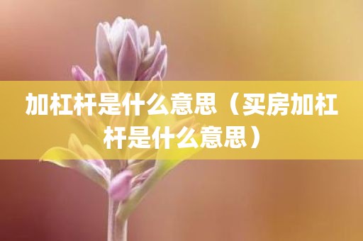加杠杆是什么意思（买房加杠杆是什么意思）