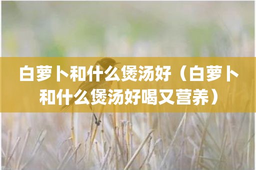白萝卜和什么煲汤好（白萝卜和什么煲汤好喝又营养）