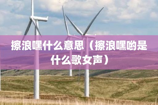 擦浪嘿什么意思（擦浪嘿哟是什么歌女声）
