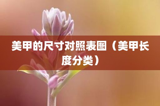 美甲的尺寸对照表图（美甲长度分类）