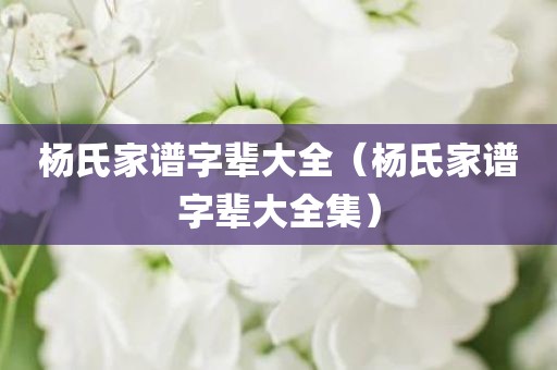 杨氏家谱字辈大全（杨氏家谱字辈大全集）
