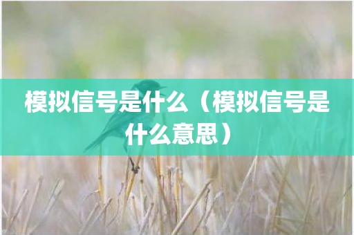 模拟信号是什么（模拟信号是什么意思）