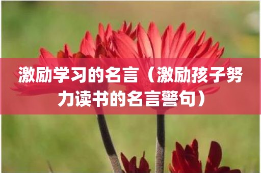 激励学习的名言（激励孩子努力读书的名言警句）