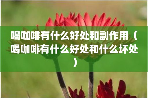 喝咖啡有什么好处和副作用（喝咖啡有什么好处和什么坏处）