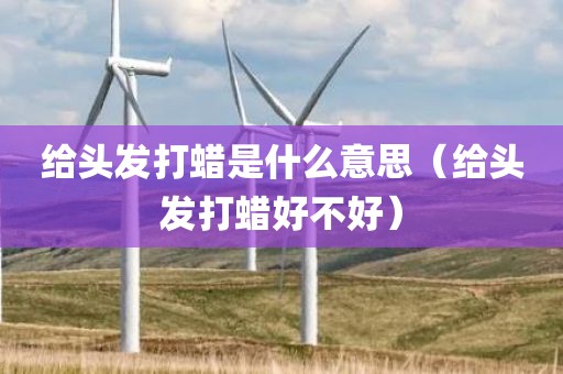 给头发打蜡是什么意思（给头发打蜡好不好）