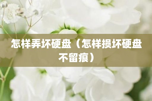 怎样弄坏硬盘（怎样损坏硬盘不留痕）