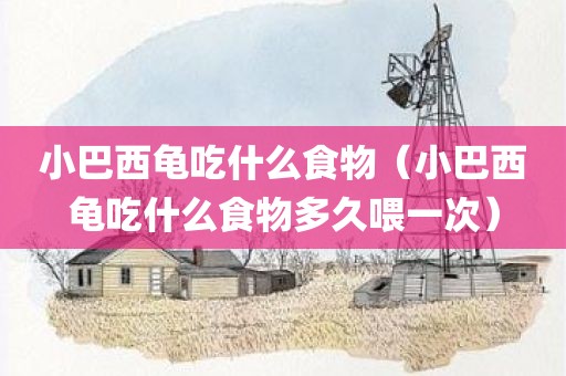 小巴西龟吃什么食物（小巴西龟吃什么食物多久喂一次）