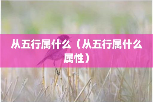 从五行属什么（从五行属什么属性）
