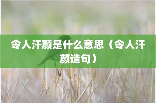 令人汗颜是什么意思(令人汗颜造句)