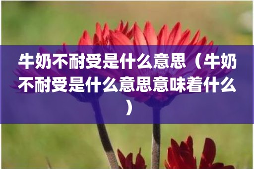 牛奶不耐受是什么意思（牛奶不耐受是什么意思意味着什么）