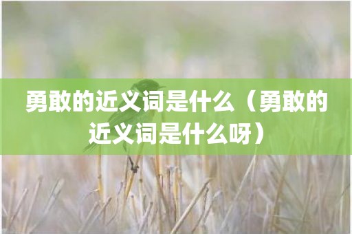 勇敢的近义词是什么（勇敢的近义词是什么呀）