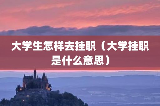 大学生怎样去挂职(大学挂职是什么意思) 大学生怎样去挂职(大学挂职是什么意思)